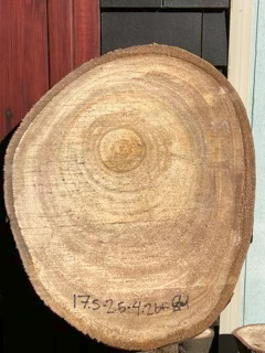 Spalted Maple